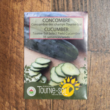 Organic 'Sunflower' Field Cucumber