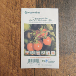 Tomate Cerise 'Matt's Wild Cherry' bio