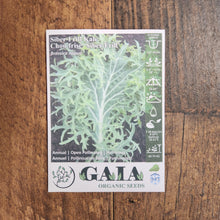 Kale 'Siber-Frill' Organic 