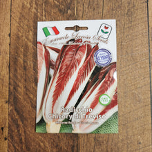 Chicory 'Rossa Di Treviso'