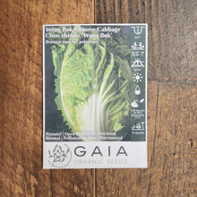 Chinese cabbage 'Wong Bok'