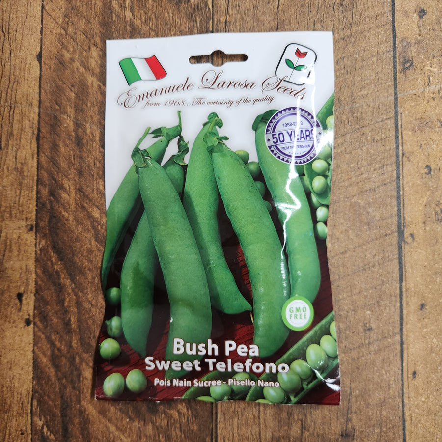 Bush pea 'Sweet Telephono'