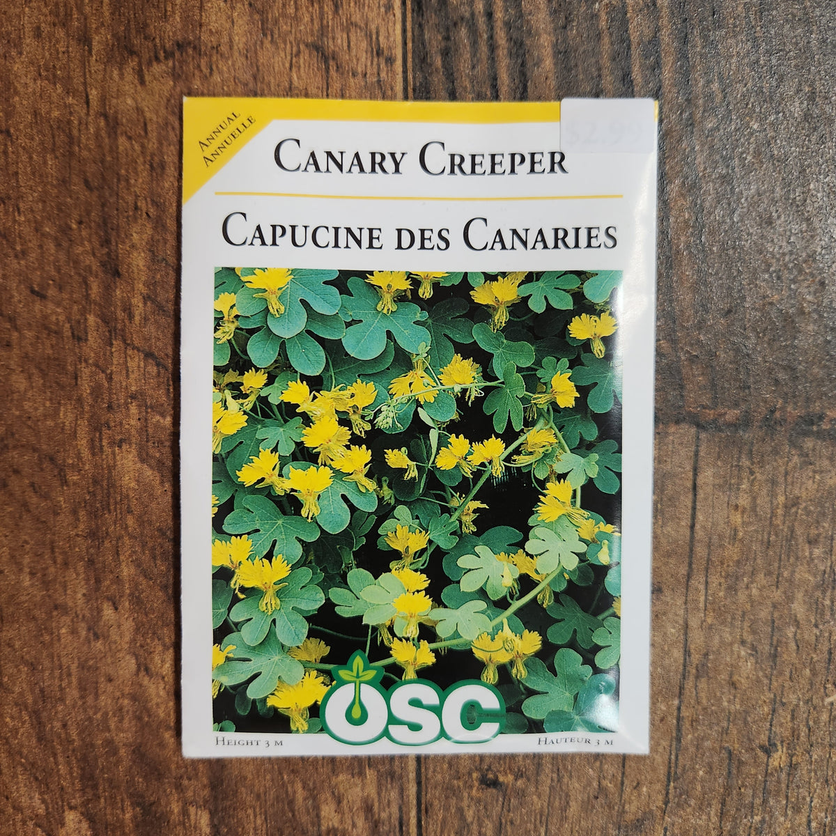 Nasturtium 'Canary Creeper'