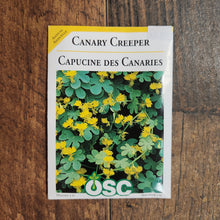 Nasturtium 'Canary Creeper'
