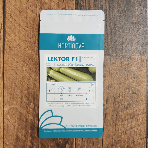 Zucchini 'Lektor F1'