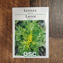Lettuce 'Oakleaf'