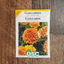 Gaillardia 'Mixte Picta Doubles'