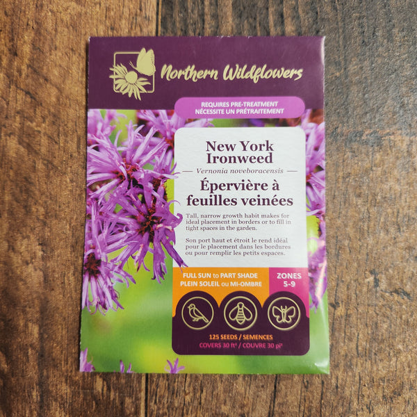 New York Ironweed