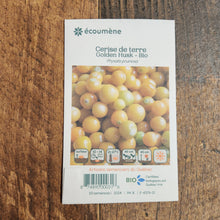 Sachet de semences Cerise de terre Golden Husk. Emballage blanc photographié de face sur un fond de bois brun. Une image du végétal occupe la partie centrale, sous le nom imprimé. De petits pictogrammes et un code-barres apparaissent au bas du sachet. La marque Écoumène figure dans la partie supérieure de cette présentation.