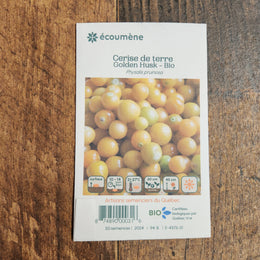 Organic ground cherry 'Golden Husk'
