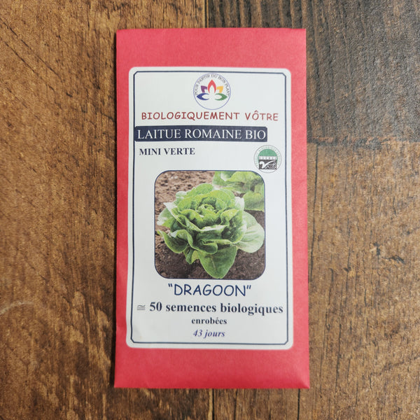 Organic Green Romaine Lettuce 'Dragoon'
