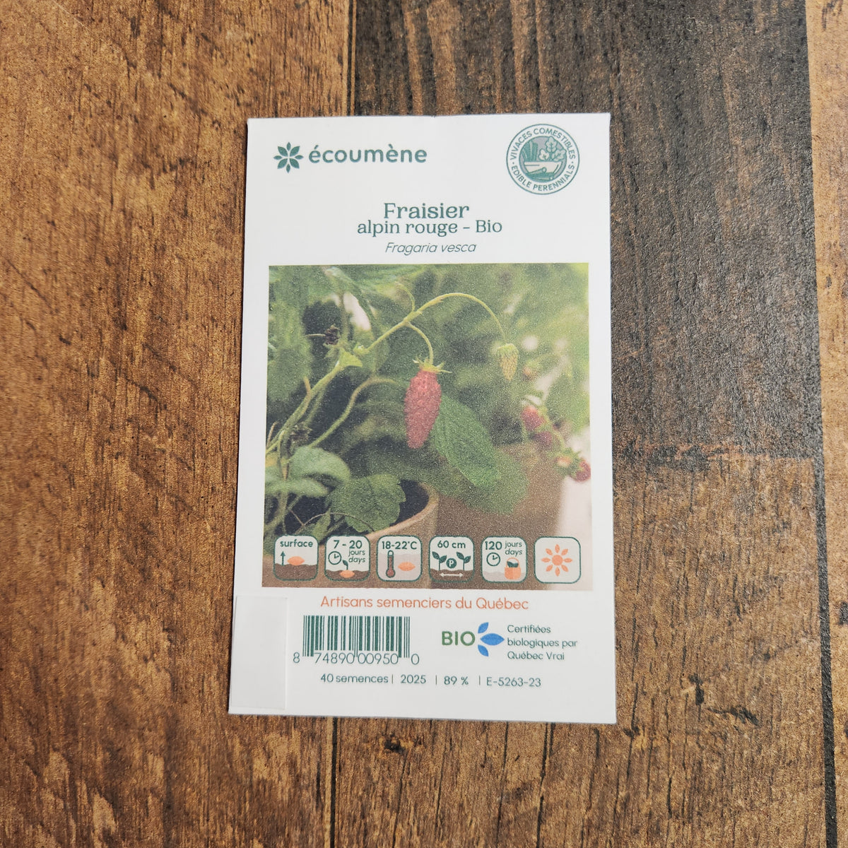 Sachet de semences Fraise alpine. Emballage blanc photographié de face sur un fond de bois brun. Une image du végétal occupe la partie centrale, sous le nom imprimé. De petits pictogrammes et un code-barres apparaissent au bas du sachet. La marque Écoumène figure dans la partie supérieure de cette présentation.