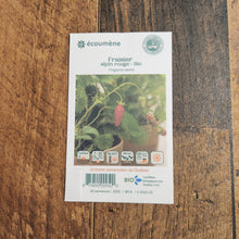 Sachet de semences Fraise alpine. Emballage blanc photographié de face sur un fond de bois brun. Une image du végétal occupe la partie centrale, sous le nom imprimé. De petits pictogrammes et un code-barres apparaissent au bas du sachet. La marque Écoumène figure dans la partie supérieure de cette présentation.