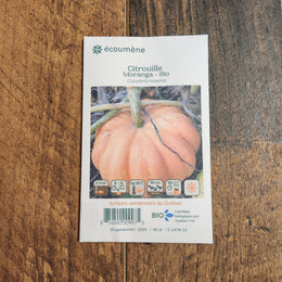 Citrouille 'Moranga' bio