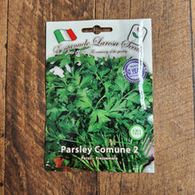 Parsley 'Common No. 2'
