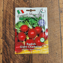 Raddish 'Champion'