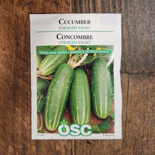 Cucumber  'Straight Eight'