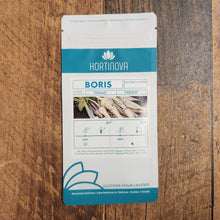 Parsnip 'Boris'