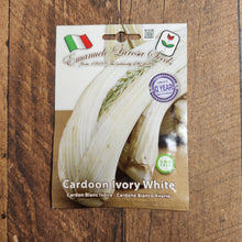 Cardoon 'Ivory White'