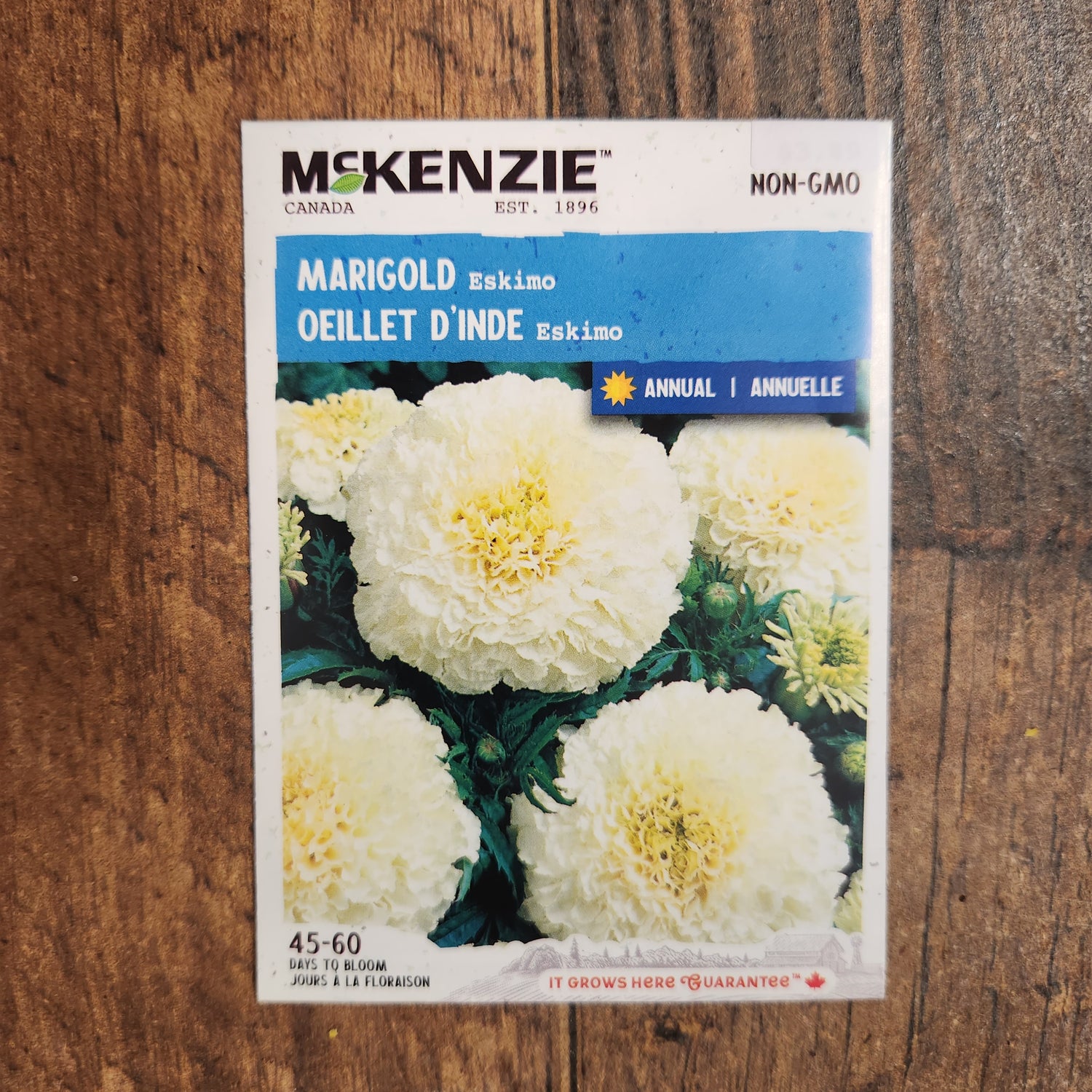 indian marigold seeds French Marigold 'Eskimo' – Unique white bloom and drought resistance – Pépinière.ca
