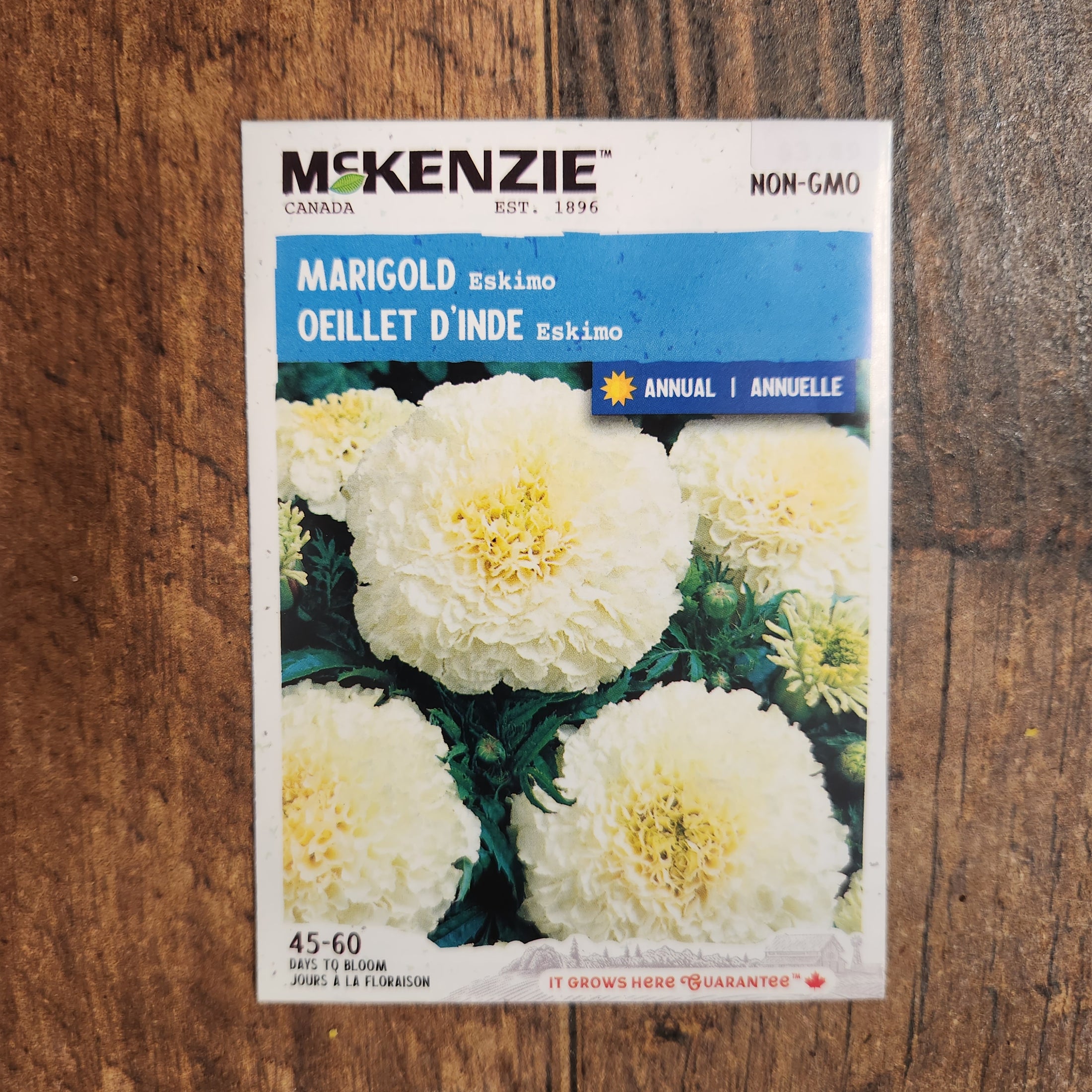 Eskimo Indian Carnation
