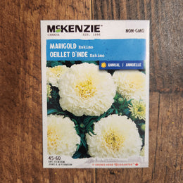 Oeillet d'inde 'Eskimo'