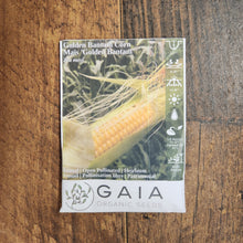Corn 'Golden Bantam' 