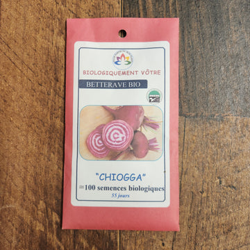 Betterave 'Chioggia' bio