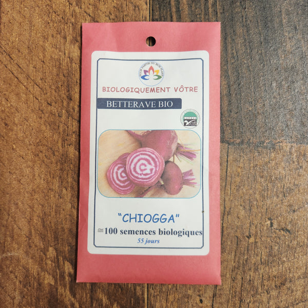 Organic 'Chioggia' beetroot