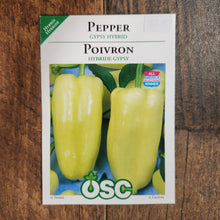 Sweet Pepper 'Gypsy' 