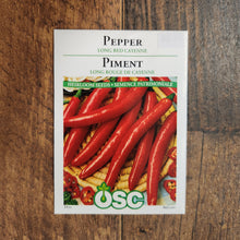 Piment fort 'Long Red Cayenne'
