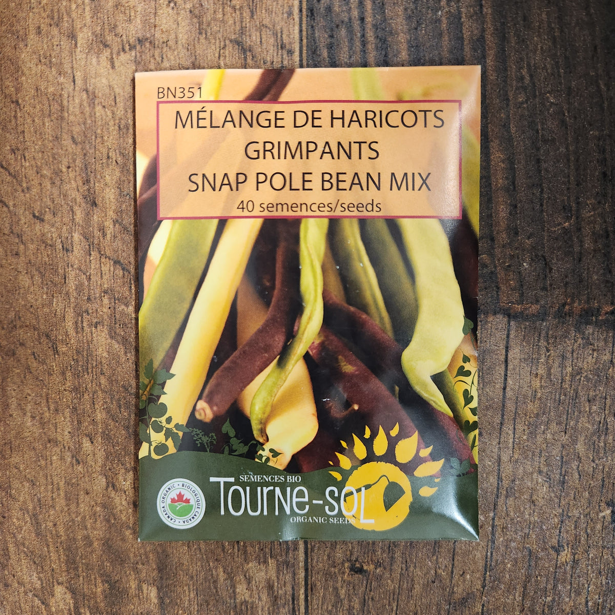 Mélange de haricots grimpants bio