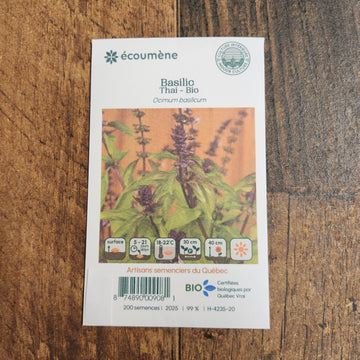 Basilic Thai bio