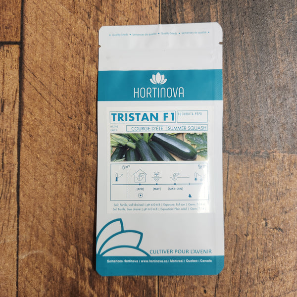 Zucchini 'Tristan F1'