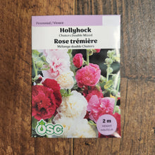 Hollyhocks 'Chater's Double Mixed'