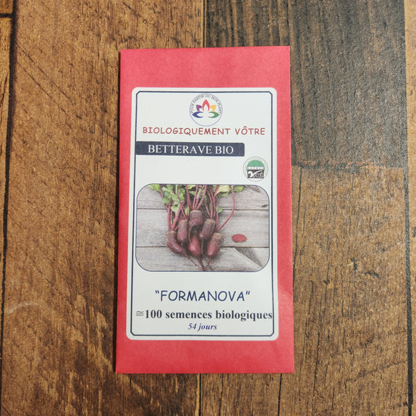 Organic 'Formanova' beetroot