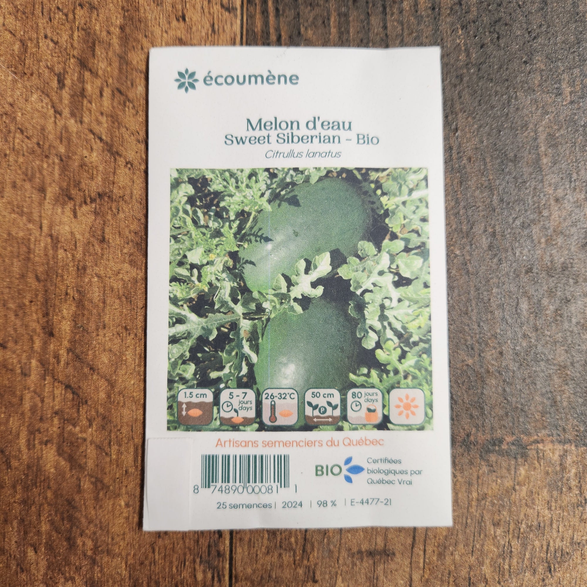 Sachet de semences Melon deau Sweet Siberian. Emballage blanc photographié de face sur un fond de bois brun. Une image du végétal occupe la partie centrale, sous le nom imprimé. De petits pictogrammes et un code-barres apparaissent au bas du sachet. La marque Écoumène figure dans la partie supérieure de cette présentation.