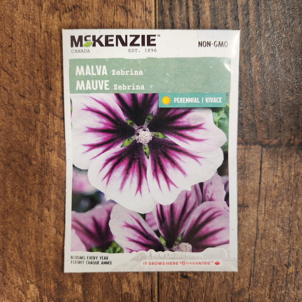 Mallow 'Zebrina'
