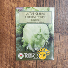Organic 'Crispino' iceberg lettuce