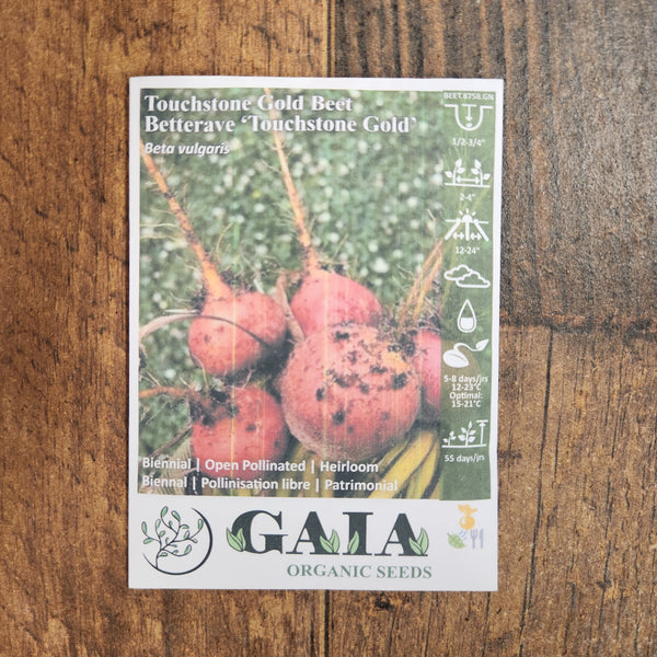 Beetroot 'Touchstone Gold' organic