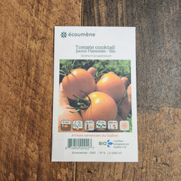 Tomate Cocktail 'Jaune Flammée' bio