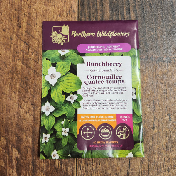 Bunchberry (Cornus canadensis)