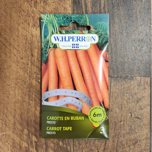 Carrot 'Presto' on ribbon