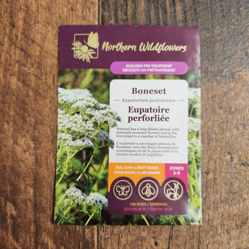Boneset