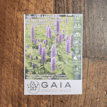 American Anise Hyssop organic