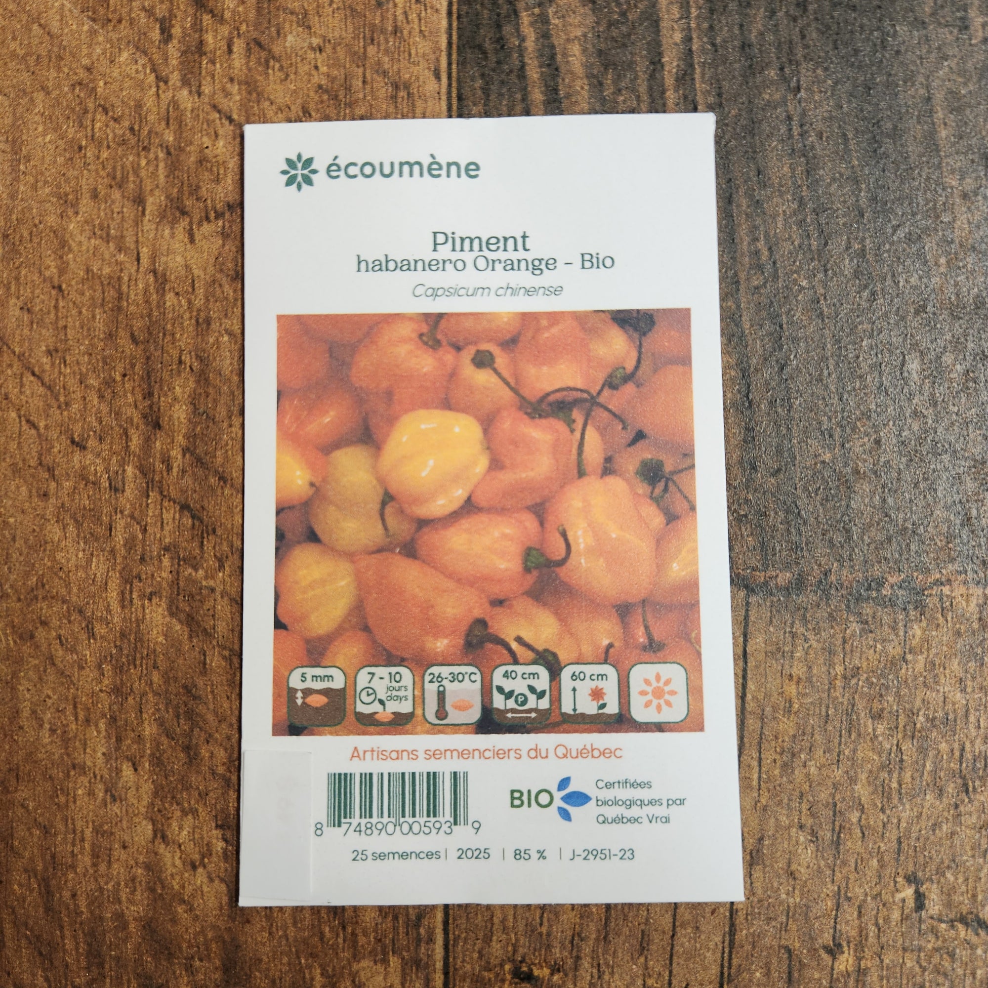 Organic 'Habanero Orange' hot pepper