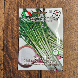 Product image of Catalogna Frastagliate Esportazione Leaf Chicory, a chicory cultivar supplied as Weston seed. The photograph shows the identifying appearance presented for this variety and helps gardeners recognize the packet or plant while comparing options for a home garden. For best results, label the row and observe the plants regularly as conditions change through the season. Adjust watering to rainfall, wind, container size, and the actual moisture at soil level.