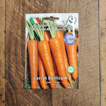 Carotte 'Berlicum Coreless' (<em>Daucus carota subsp. sativus</em> ‘Berlicum Coreless’)
