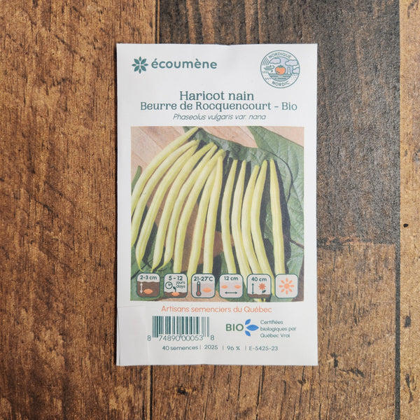 Organic dwarf bean 'Beurre de Rocquencourt'