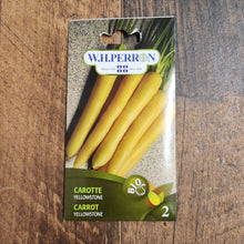 Carotte jaune 'Yellowstone' bio